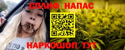 гашик Кунгур