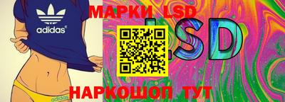гашик Кунгур